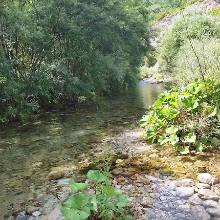 Kuca Za Odmor Diva Holiday home