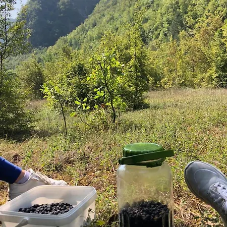 Holiday home Kuca Za Odmor Diva