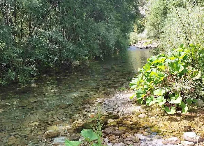 Kuca Za Odmor Diva Holiday home