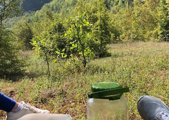 Holiday home Kuca Za Odmor Diva